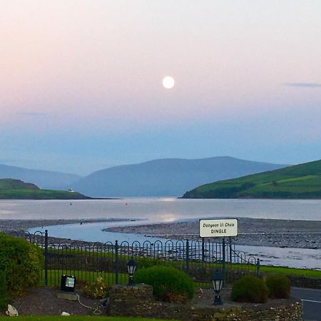 Coastline House Bed & Breakfast Dingle Exterior photo